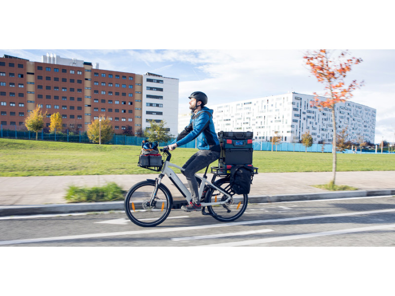 Bicicleta Eléctrica Cargo Monty V6 ROVER 26"