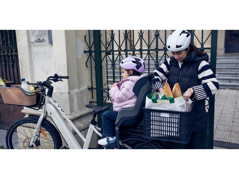 Bicicleta Eléctrica Cargo Monty V8 26"