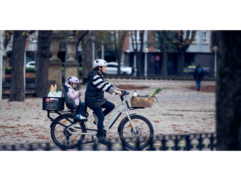 Bicicleta Eléctrica Cargo Monty V8 26"