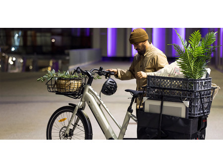 Bicicleta Eléctrica Cargo Monty V8 26"